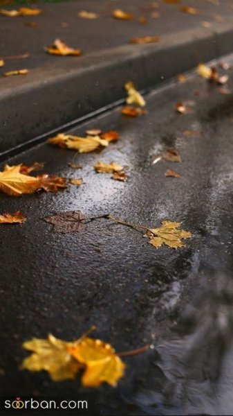  عکس صبح بارانی پاییزی