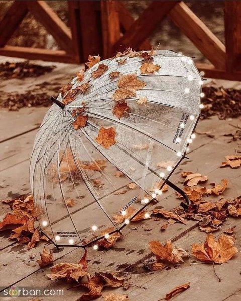  عکس صبح بارانی پاییزی