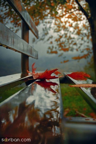  عکس صبح بارانی پاییزی