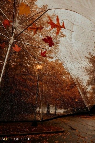  عکس صبح بارانی پاییزی