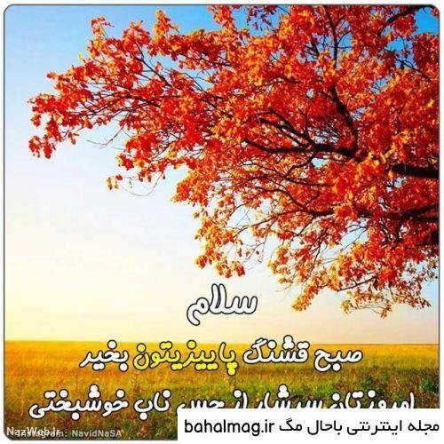  عکس صبح بخیر پاییزی