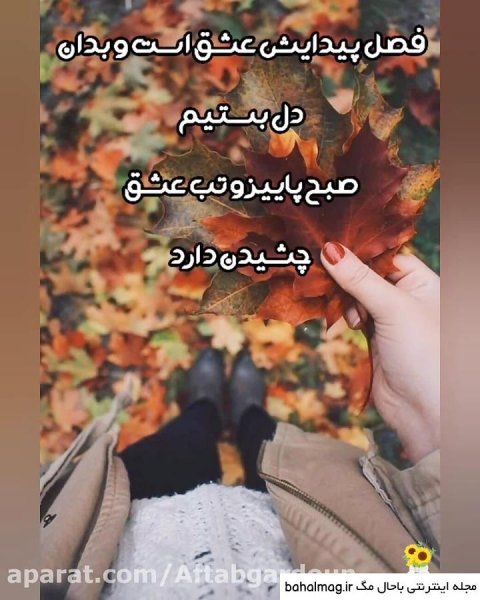  عکس صبح بخیر پاییزی
