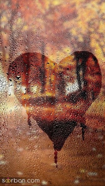 عکس باران پاییزی جدید