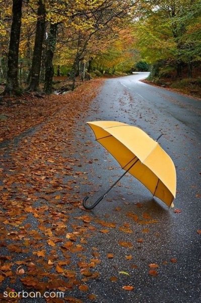  عکس باران پاییزی جدید