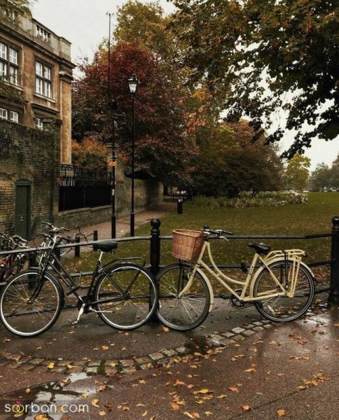  عکس باران پاییزی جدید