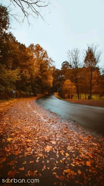  عکس باران پاییزی جدید