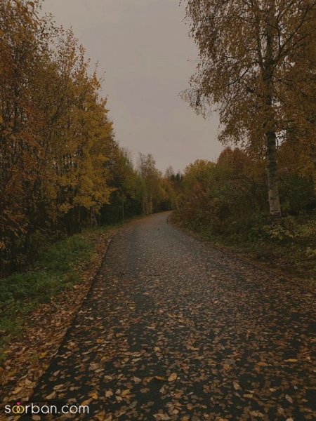  عکس باران پاییزی جدید