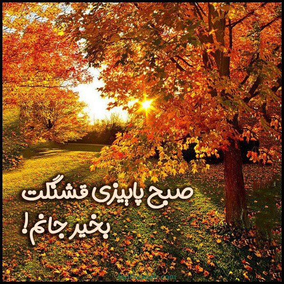  100 عکس صبح بخیر پاییزی عاشقانه