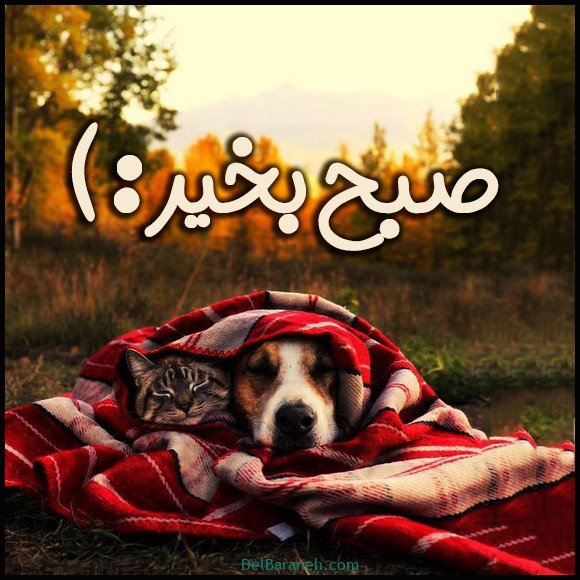  100 عکس صبح بخیر پاییزی عاشقانه