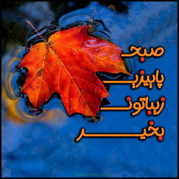  100 عکس صبح بخیر پاییزی عاشقانه