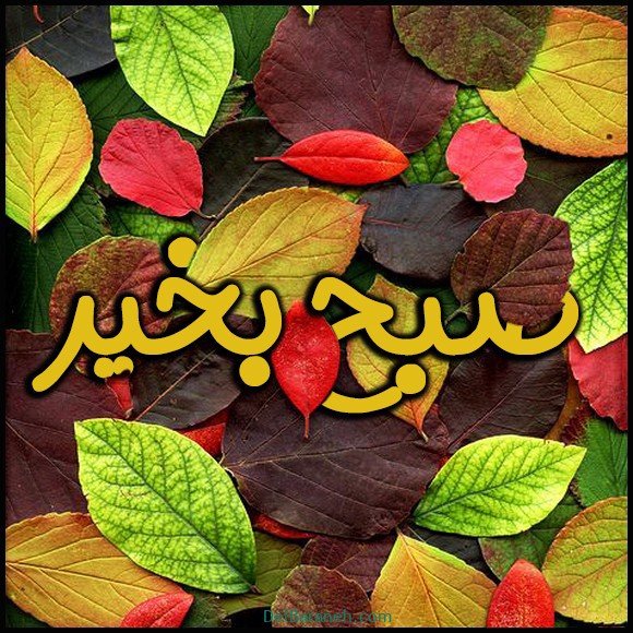  100 عکس صبح بخیر پاییزی عاشقانه