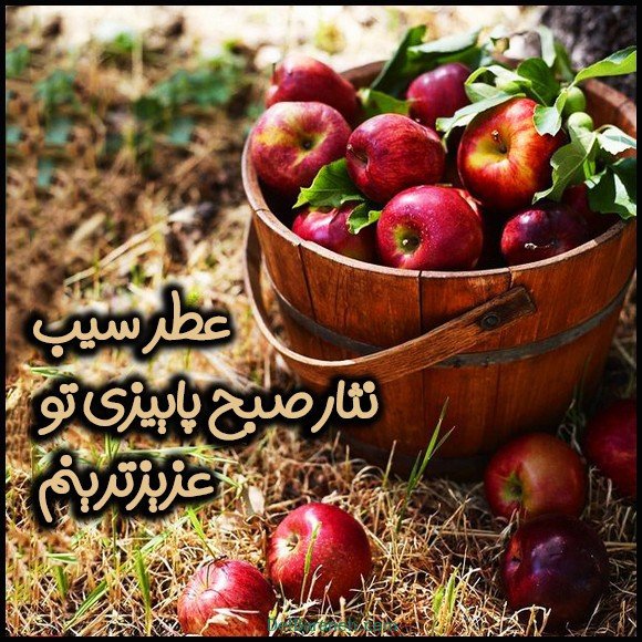  100 عکس صبح بخیر پاییزی عاشقانه