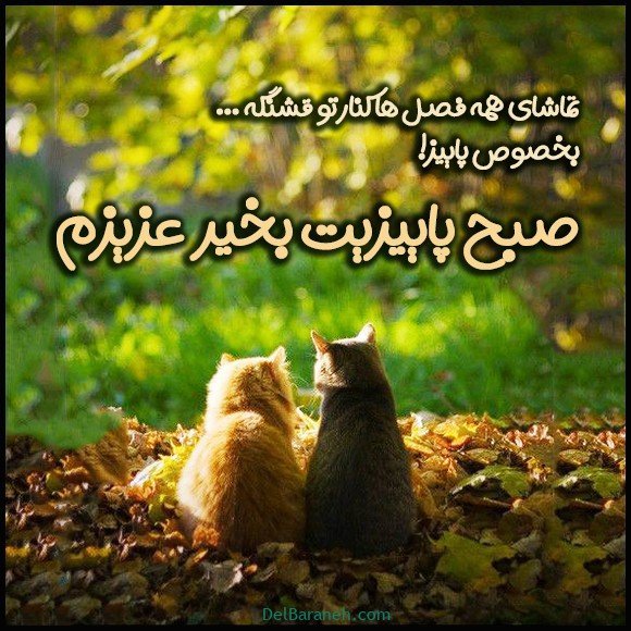  100 عکس صبح بخیر پاییزی عاشقانه