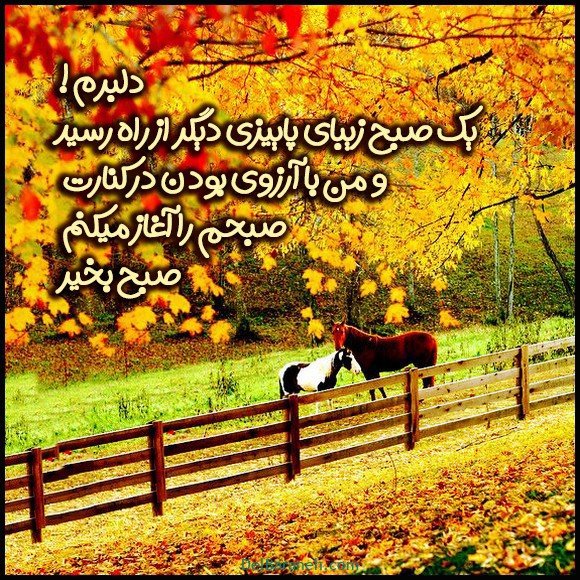  100 عکس صبح بخیر پاییزی عاشقانه