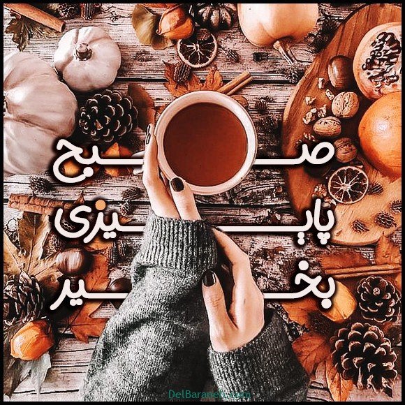  100 عکس صبح بخیر پاییزی عاشقانه