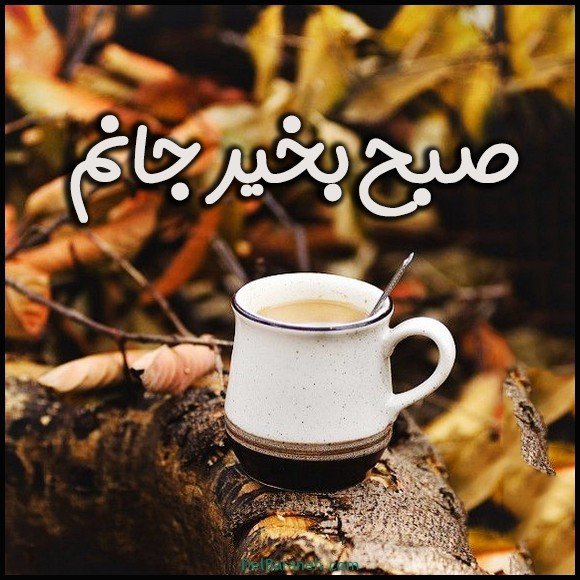  100 عکس صبح بخیر پاییزی عاشقانه