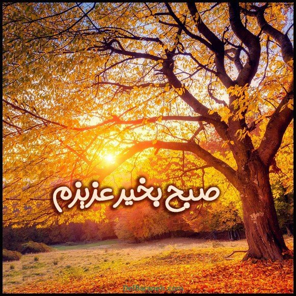  100 عکس صبح بخیر پاییزی عاشقانه