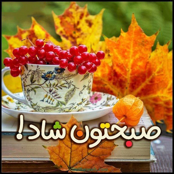  100 عکس صبح بخیر پاییزی عاشقانه