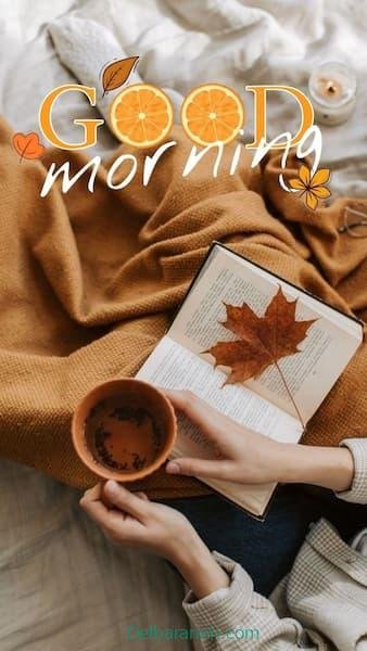  80 صبح بخیر پاییزی انگیزشی