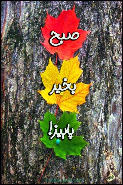  80 صبح بخیر پاییزی انگیزشی