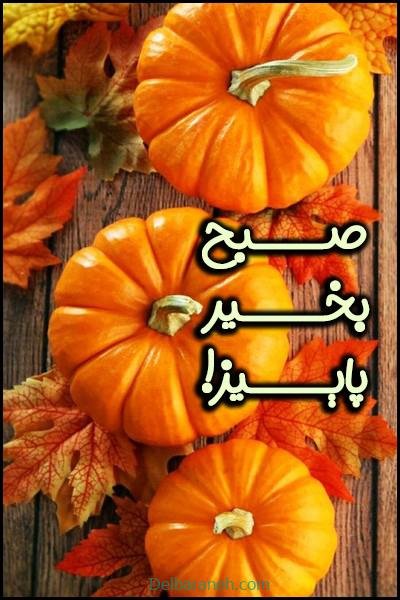  80 صبح بخیر پاییزی انگیزشی