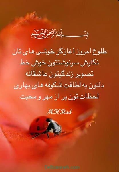  صبح بخیر پاییزی اینستا