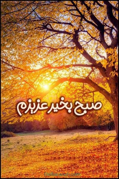  صبح بخیر پاییزی اینستا