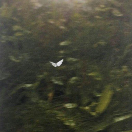  عکس باران برای استوری