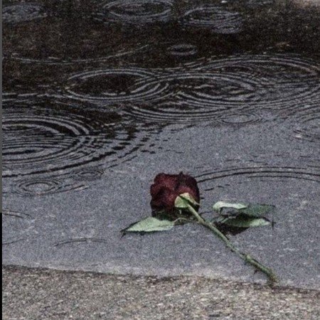  عکس باران برای استوری