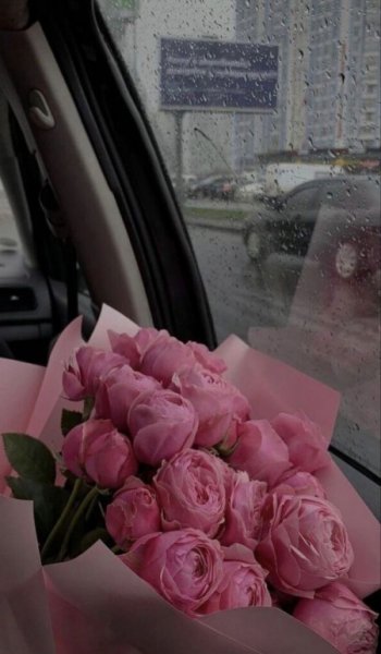  عکس باران برای استوری