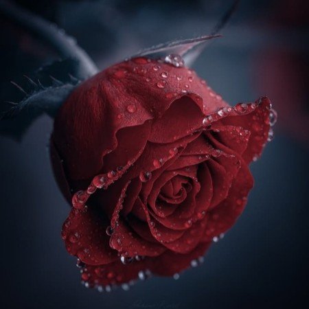  عکس باران برای استوری