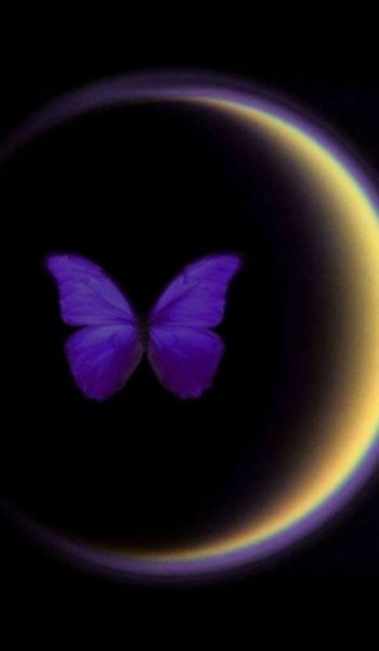  عکس باران برای استوری