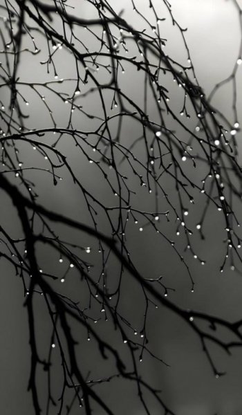  عکس باران غمگین