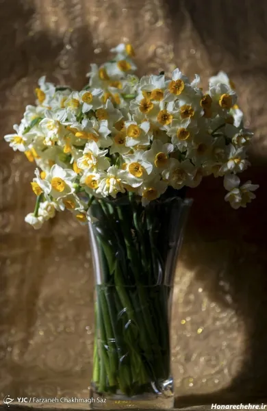  عکس باران و گل