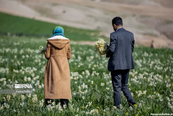  عکس باران و گل