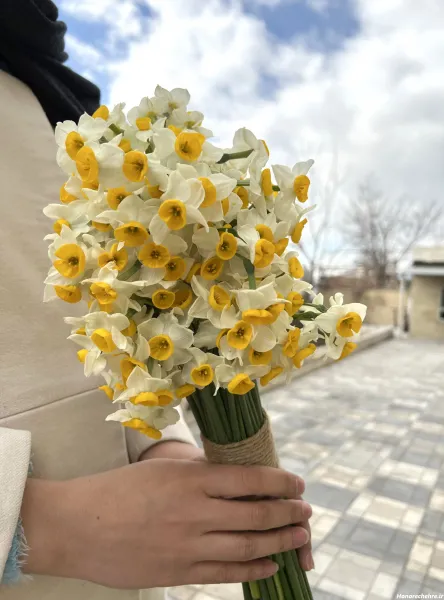  عکس باران و گل