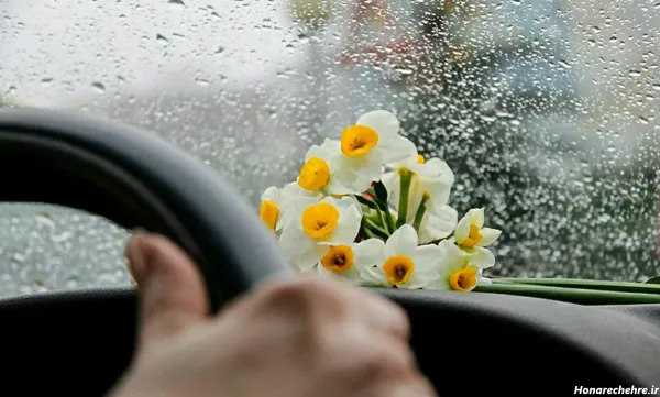  عکس باران و گل