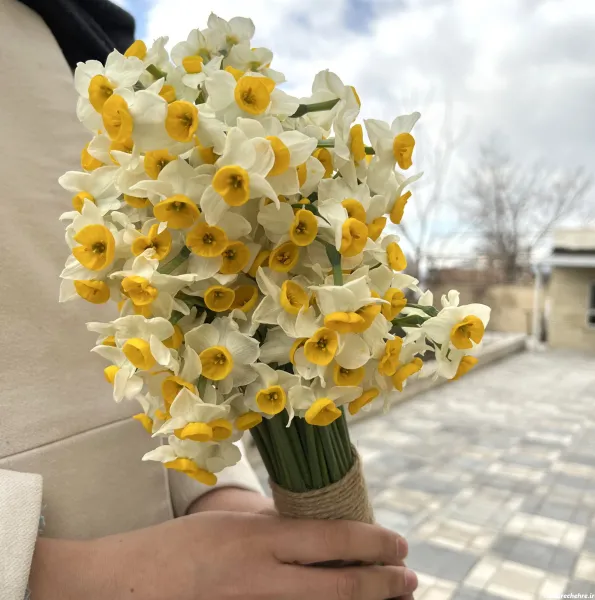  عکس باران و گل