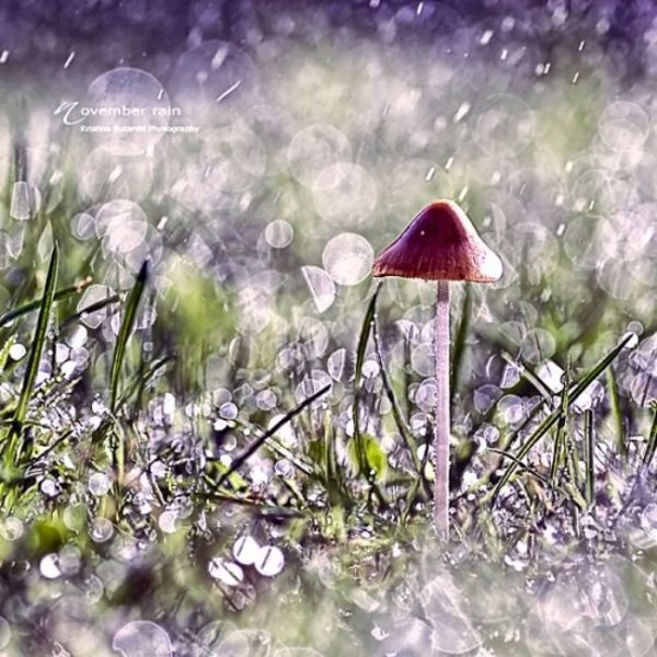  عکس بارانی عاشقانه دونفره