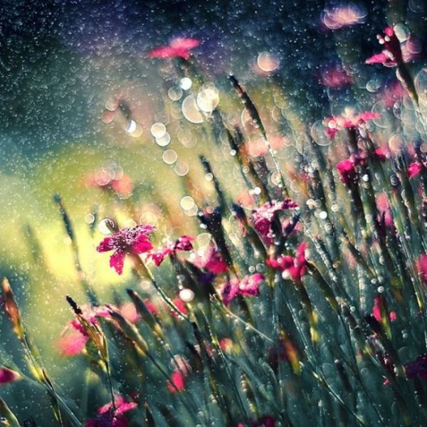  عکس بارانی عاشقانه دونفره