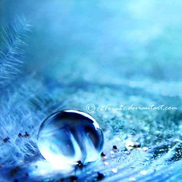  عکس بارانی عاشقانه دونفره