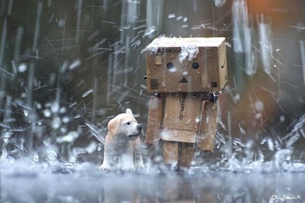  عکس بارانی عاشقانه دونفره