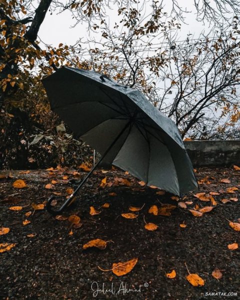  عکس بارانی عاشقانه دونفره