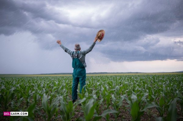  عکس هوای بارانی شمال