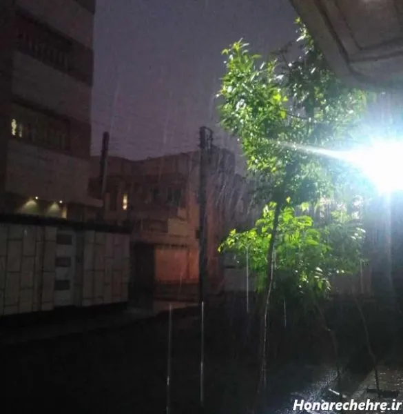  47 عکس باران در شب