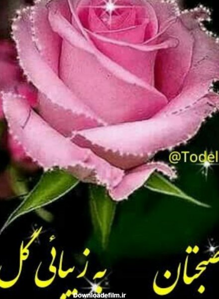  عکس صبح بخیر جمعه دلبرانه