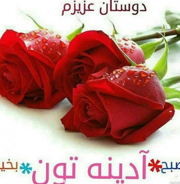  عکس صبح بخیر جمعه دلبرانه