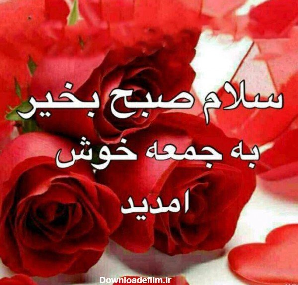  عکس صبح بخیر جمعه دلبرانه