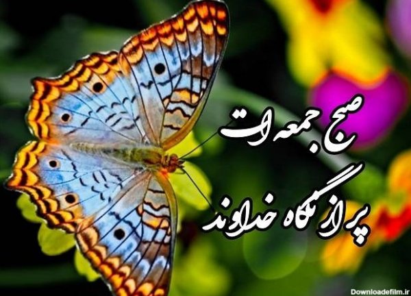  عکس صبح بخیر جمعه دلبرانه