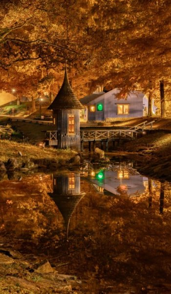  100 عکس طبیعت واقعی پاییز